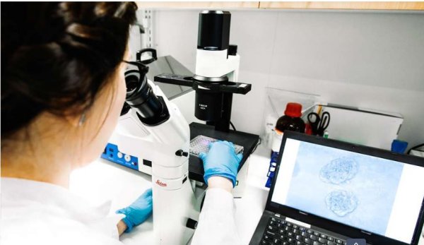 UPM Biomedicals fights cancer with GrowDex® UPM Biomedicals fights cancer with GrowDex®