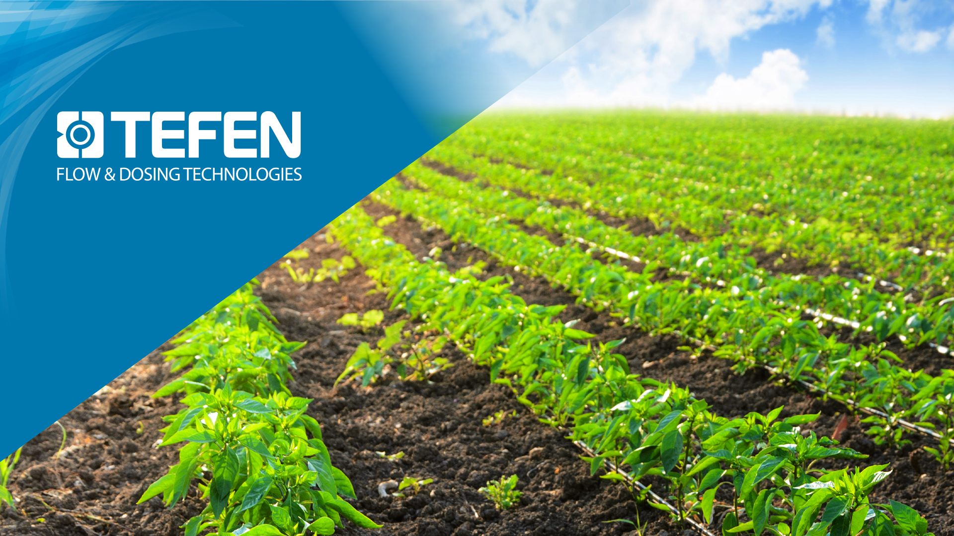 Tefen Flow and Dosing Technologies Ltd.
