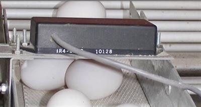PMSI Electronic Poultry Egg Counter Sensors