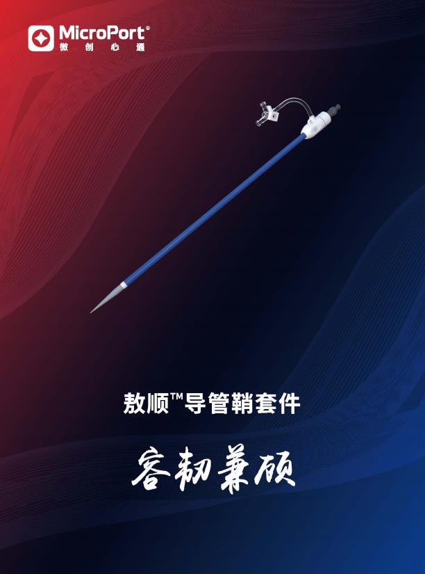 VitaFlow - Aortic Valve System - Brochure
