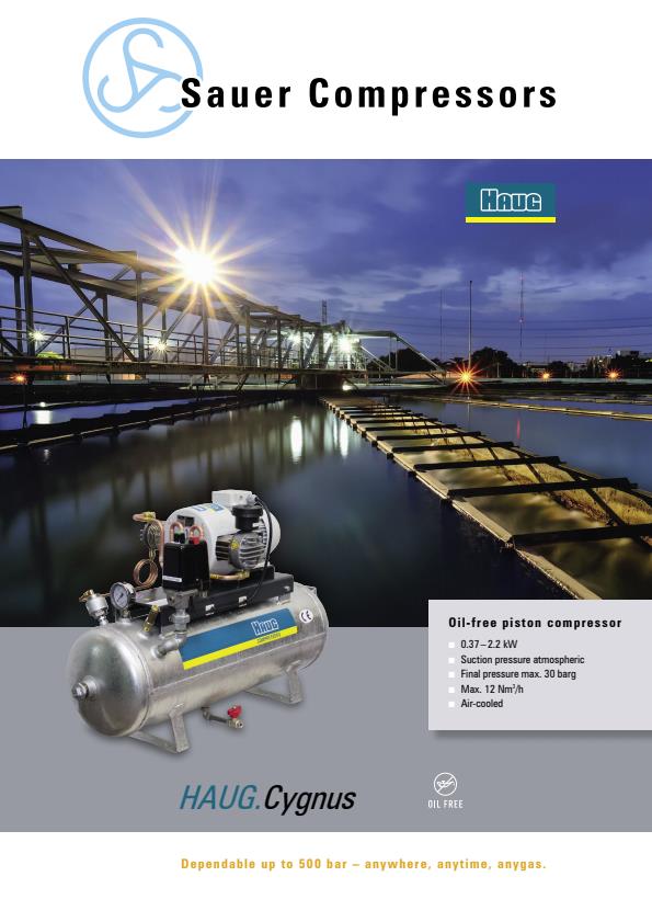 HAUG - Model Cygnus Series - Oil-Free Compressor For Air Compression (0 ...
