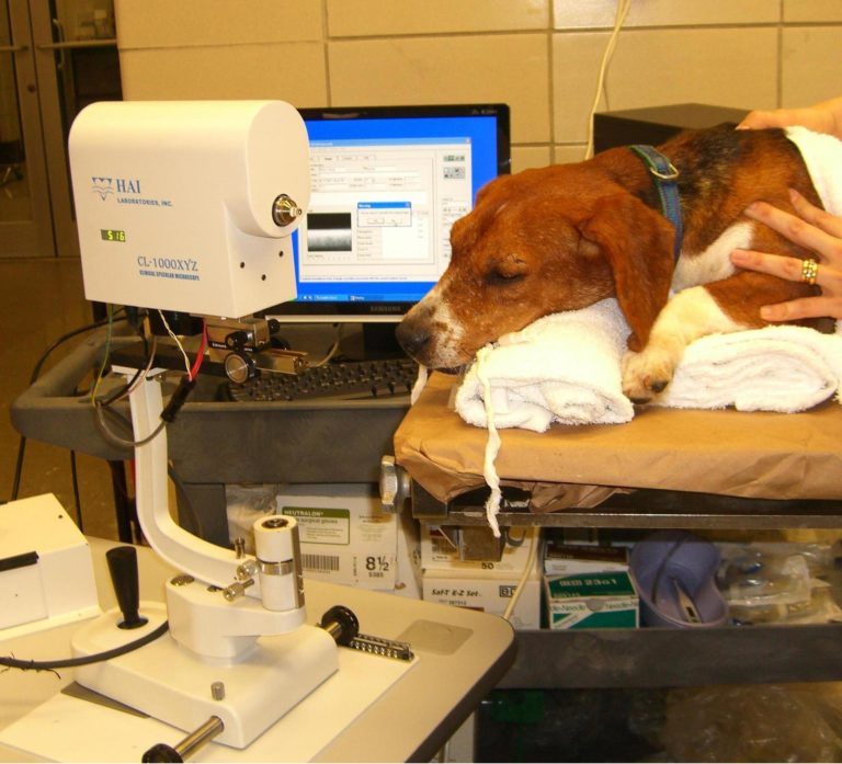 HAI LAB1000xyz Specular Microscopes Laboratory