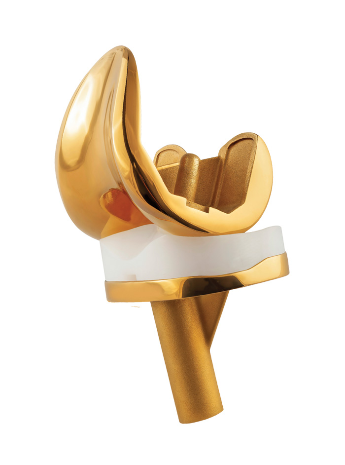 Ouro Gold Orthopedic Knee System Knee System by Biorad