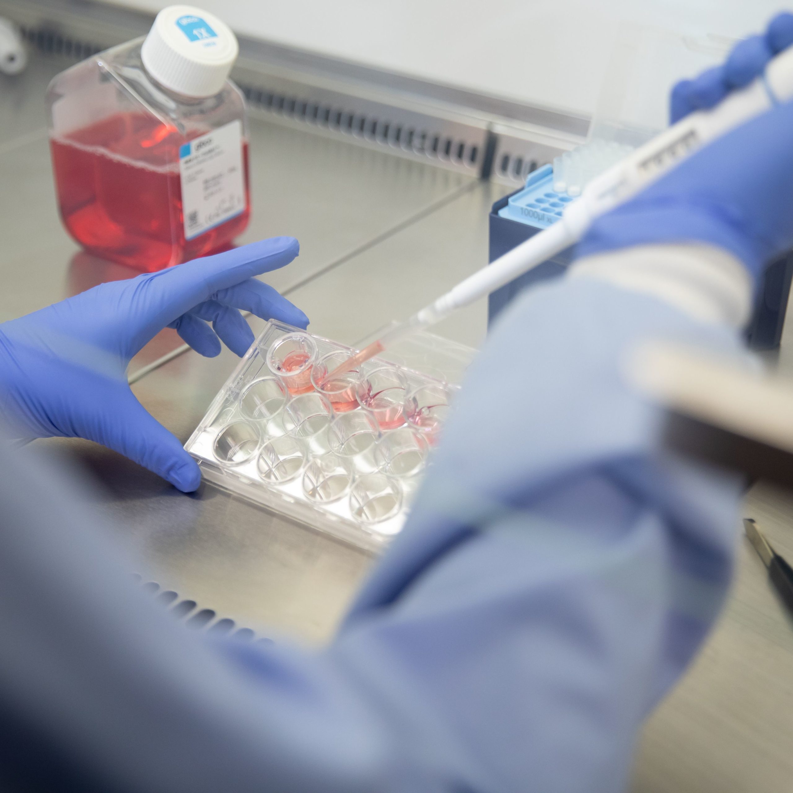 CertOss Conduit Synthetic Bone Graft by Locate Bio Limited