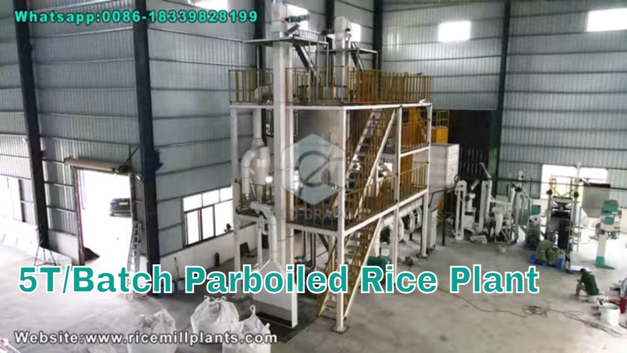 5Ton/Batch Parboiled Rice Mill Plant | Paddy Parboiling Machine Supplier