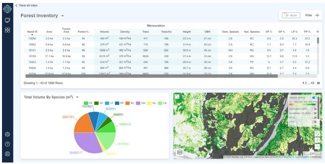 Rezatec Geospatial AI for forest inventory