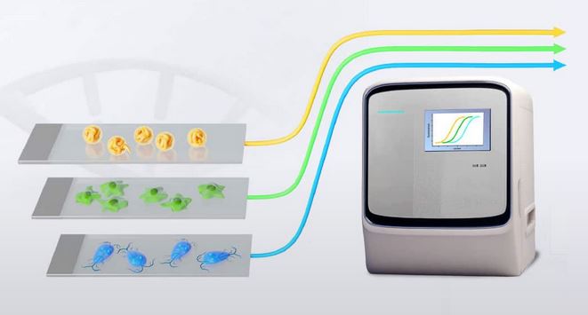 Genetic Molecular Ova And Parasite Screening System