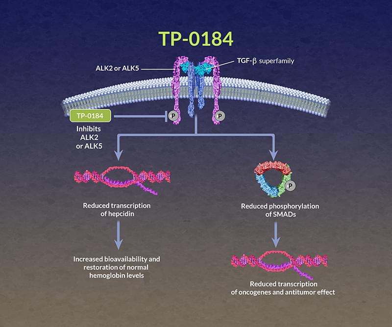 Sumitomo TP-0184 ALK2 and ALK5 Investigational Inhibitor