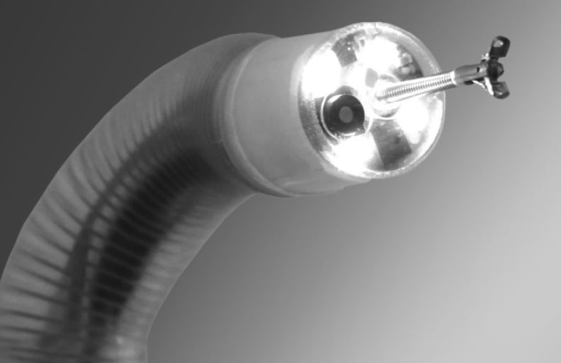 Endotics | Endotics