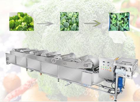 Gelgoog GG-XQ Commercial Broccoli Cauliflower Cleaning Washing Machine