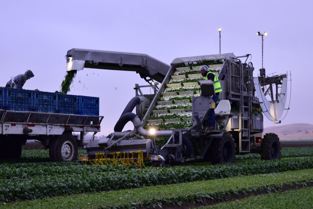 Valley Fabrication SLS3000 Leaf Cutters Leaf Cutter by