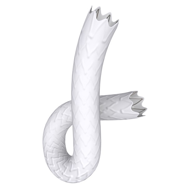 BeGraft Peripheral One-Layer Stent Graft System