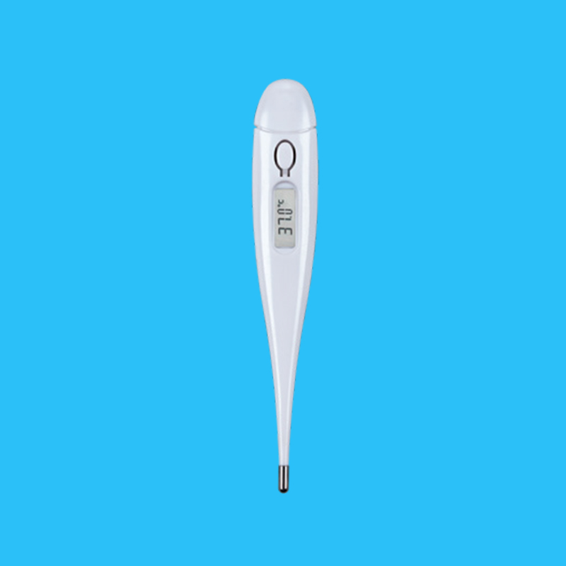 ECT1 Medical Digital Thermometer Medical Digital