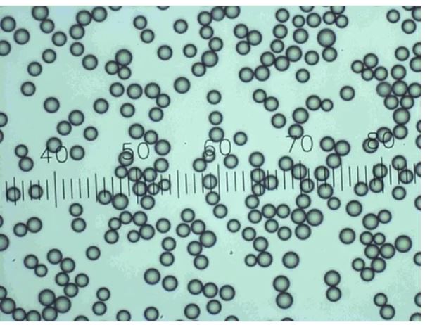 Applied-Physics Polystyrene Microsphere Dry Powder