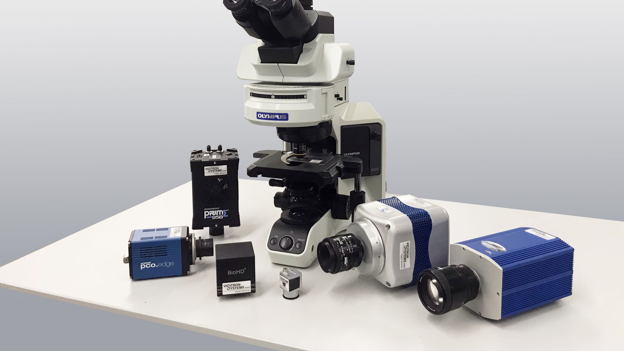 Visual Scope Microscope VisiScope Widefield Microscopy System