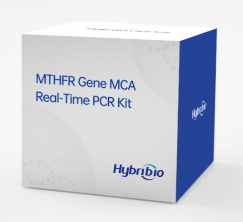 Hybribio Real-Time PCR Kits For Gene Polymorphism Detection