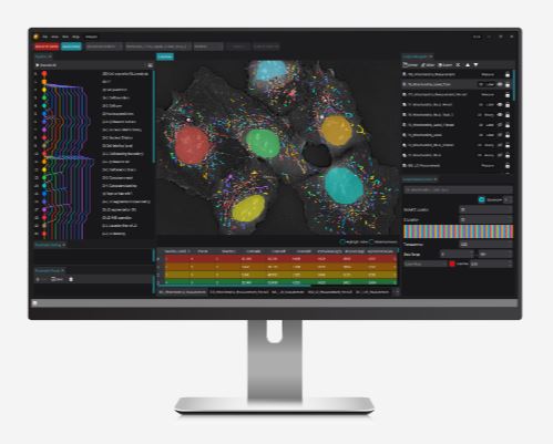 Tomocube TomoAnaly sis Artificial Intelligence (AI) Tools