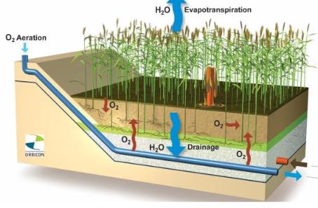 BioKube Root Zone Sludge Treatment Plant