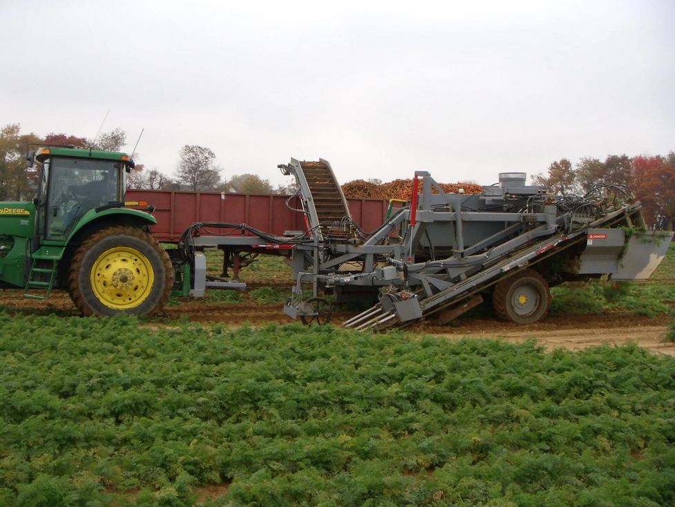 Pik Rite 8020 Carrot Harvester
