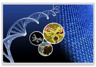 ArrayGen Gene Expression Arrays