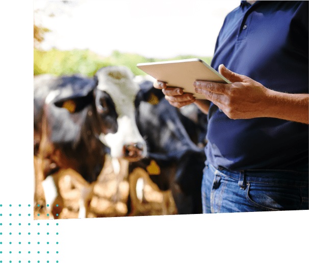FarmWizard Simple Dairy Herd Management Software