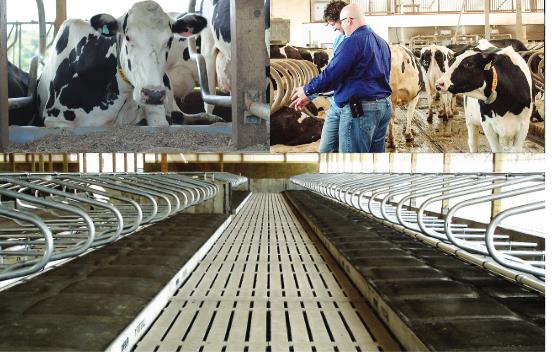 Promat DCC ISO XC Waterbeds