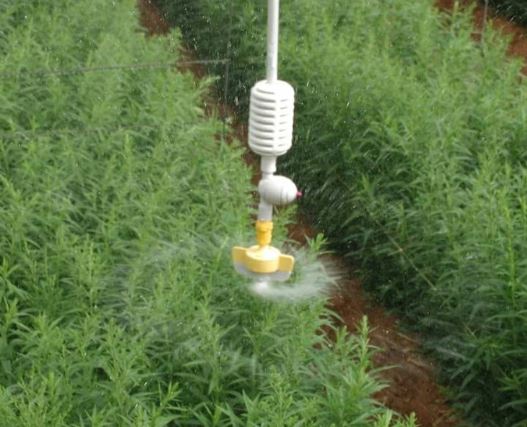 Netafim SpinNet and VibroNet Greenhouse Irrigation Sprinklers