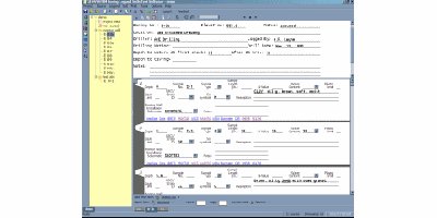 GEOSYSTEM 5 Boring Log Software